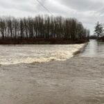 Il Giura chiede al governo il riconoscimento della Palestina